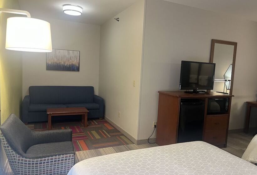 غرفة قياسية, Holiday Inn Express Hotel & Suites Sioux Falls At Empire Mall, An Ihg