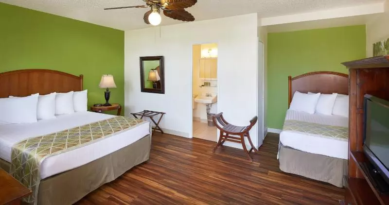 اتاق استاندارد با تخت بزرگ, Holiday Inn Express Hotel & Suites Sioux Falls At Empire Mall, An Ihg