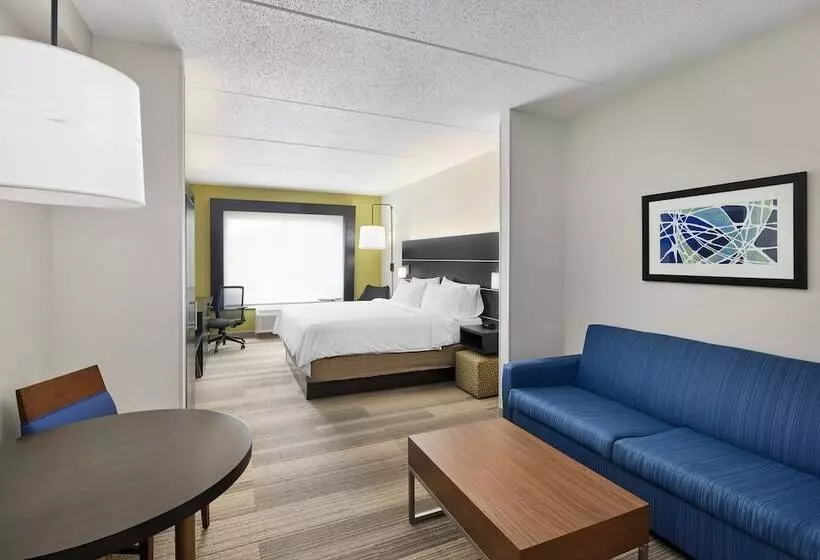 スイート, Holiday Inn Express & Suites Spartanburg North, An Ihg