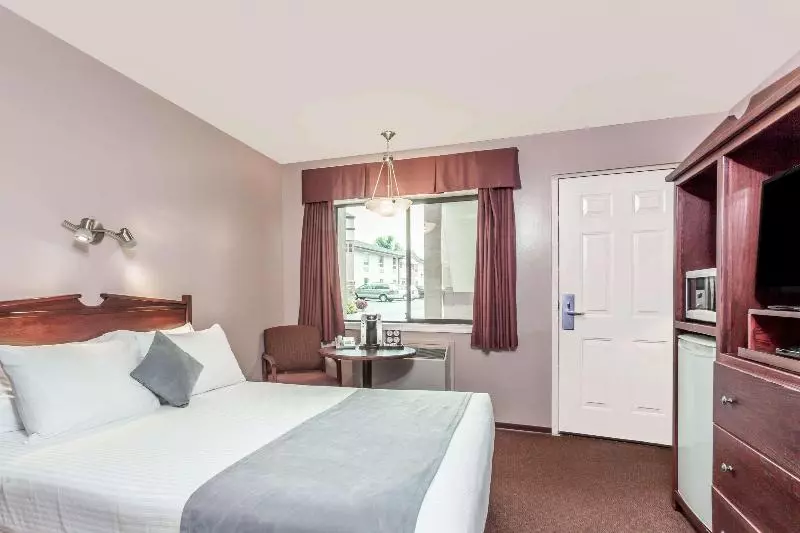 スタンダードルーム, Holiday Inn Express & Suites Starkville By Ihg
