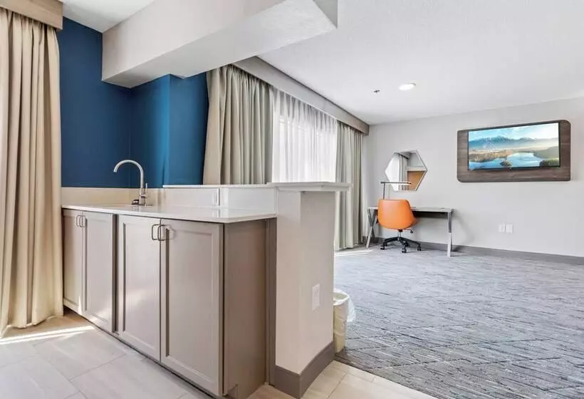 キングサイズベッドのスイートルーム, Holiday Inn Express & Suites Starkville By Ihg
