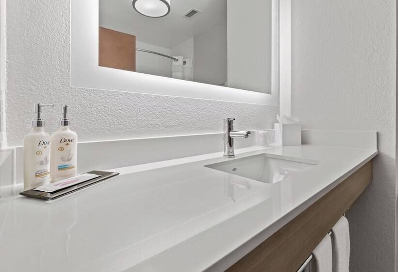 جناح سرير كينج, Holiday Inn Express & Suites Starkville By Ihg