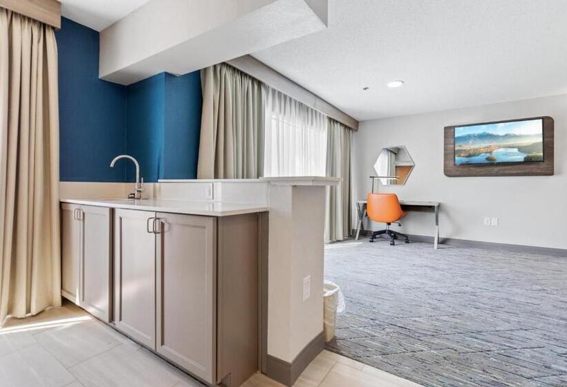 جناح سرير كينج, Holiday Inn Express & Suites Starkville By Ihg