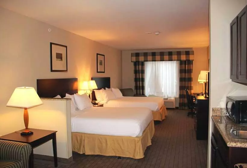 スイート, Holiday Inn Express Hotel & Suites Syracuse North Airport Area, An Ihg