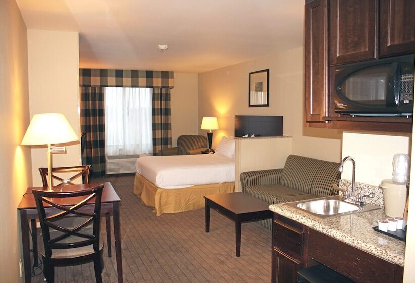 Люкс, Holiday Inn Express Hotel & Suites Syracuse North Airport Area, An Ihg