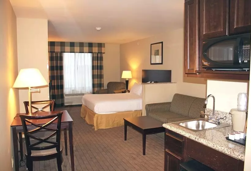 スイート, Holiday Inn Express Hotel & Suites Syracuse North Airport Area, An Ihg