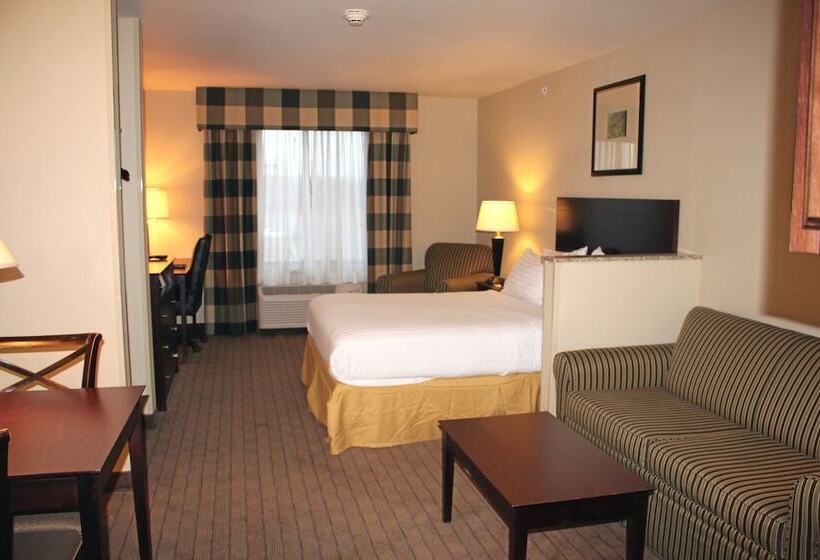 Люкс, Holiday Inn Express Hotel & Suites Syracuse North Airport Area, An Ihg