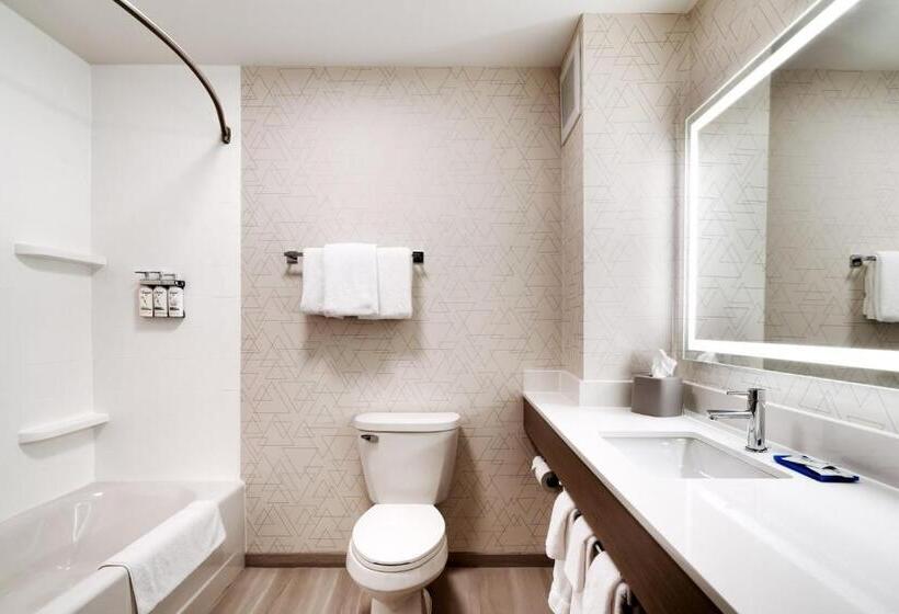 اتاق استاندارد با تخت بزرگ, Holiday Inn Express And Suites Helena, An Ihg