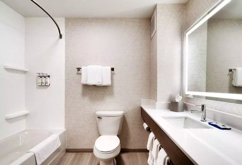 スタンダードルーム, Holiday Inn Express And Suites Helena, An Ihg