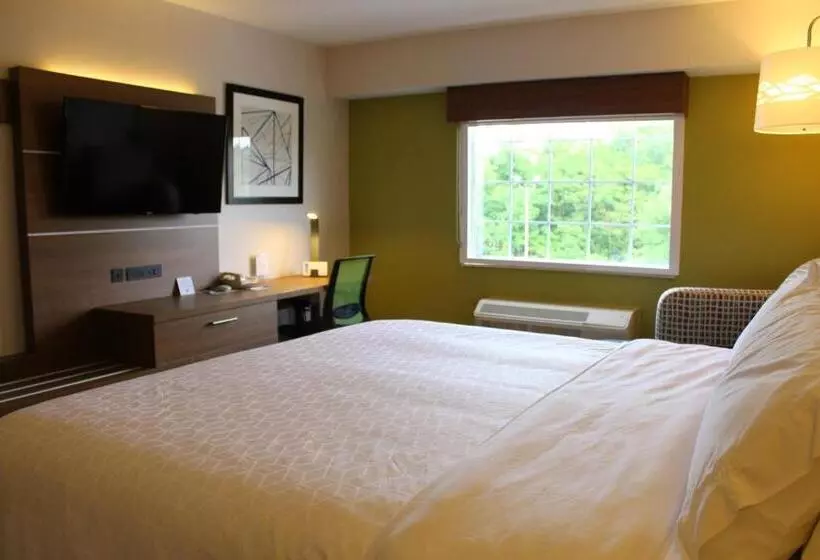 身障者適用キングサイズベッドルーム, Holiday Inn Express Murrysville   Delmont, An Ihg