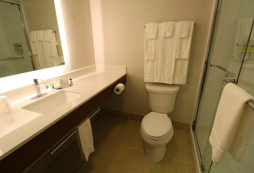 带大床的套房, Holiday Inn Express Murrysville   Delmont, An Ihg