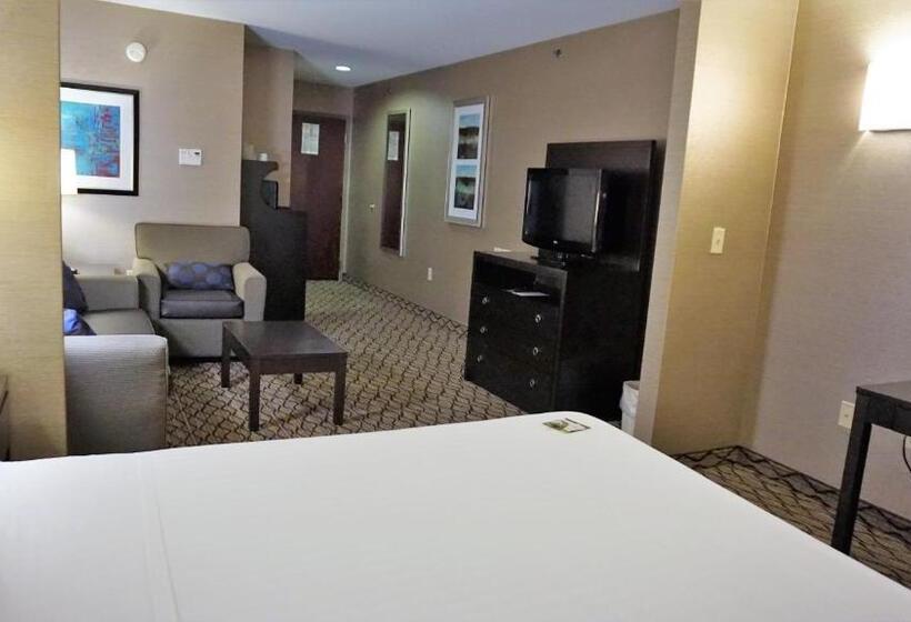 Полулюкс, Holiday Inn Express & Suites Gibson, An Ihg