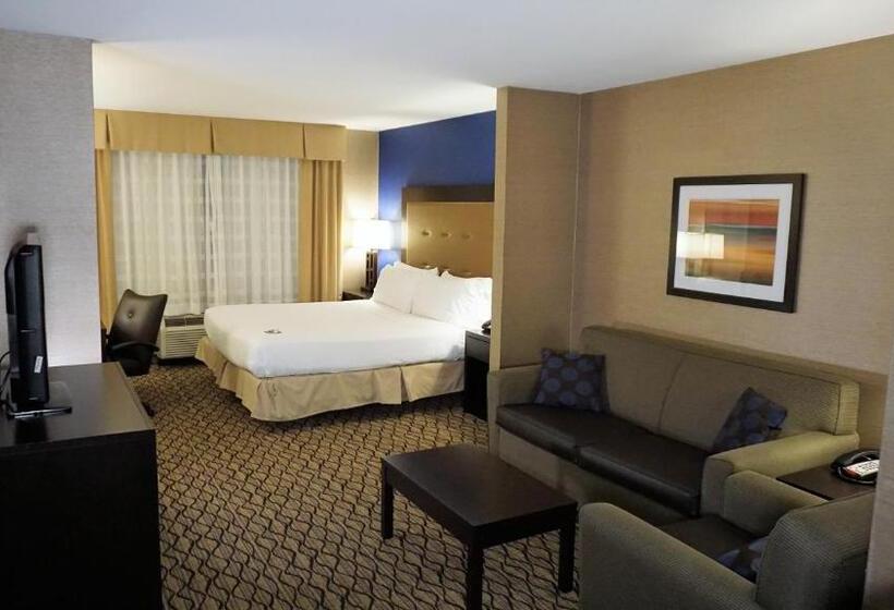 小型套房, Holiday Inn Express & Suites Gibson, An Ihg