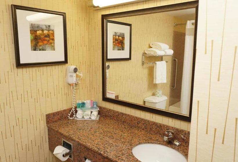 Номер Стандарт, Holiday Inn Express & Suites Gibson, An Ihg