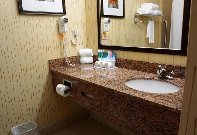 适合残疾人士使用的带超级大床的标准间, Holiday Inn Express & Suites Gibson, An Ihg