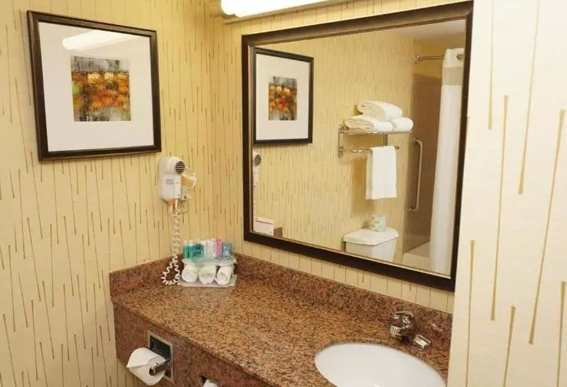 身障者適用キングサイズベッドルーム, Holiday Inn Express & Suites Gibson, An Ihg