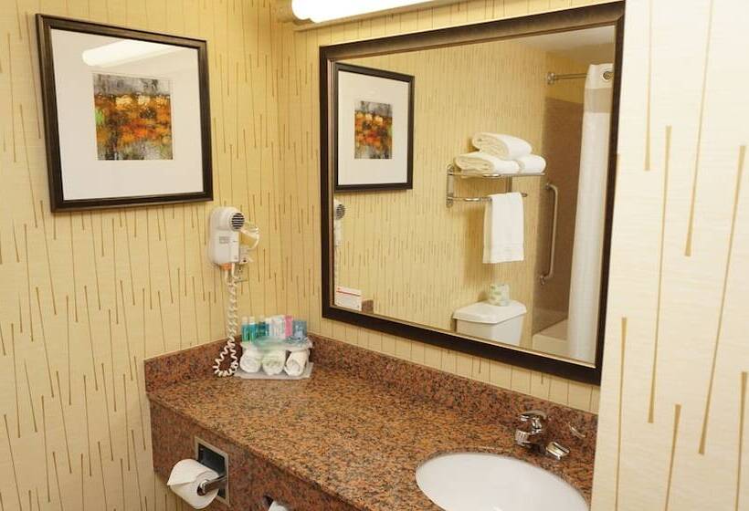 适合残疾人士使用的套间, Holiday Inn Express & Suites Gibson, An Ihg