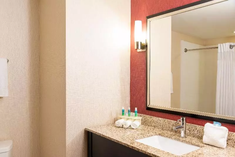 スタンダードルーム, Holiday Inn Express Hotel & Suites New Philadelphia By Ihg