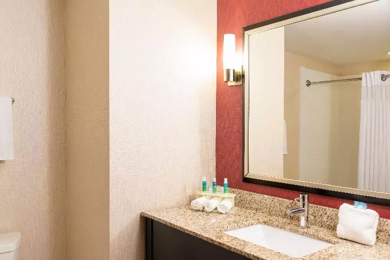 スタンダードルーム, Holiday Inn Express Hotel & Suites New Philadelphia By Ihg