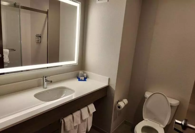 スイート, Holiday Inn Express & Suites Perry, An Ihg