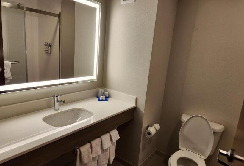 Люкс Кровать Кинг, Holiday Inn Express & Suites Perry, An Ihg