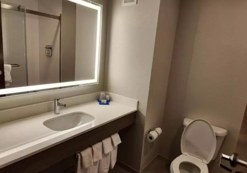 クイーンサイズベッドのスイートルーム, Holiday Inn Express & Suites Perry, An Ihg