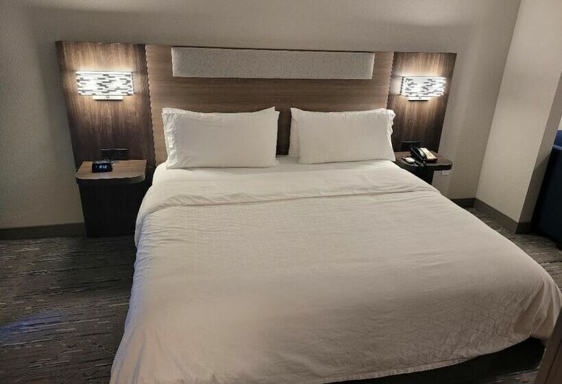 جناح سرير كينج, Holiday Inn Express & Suites Starkville By Ihg