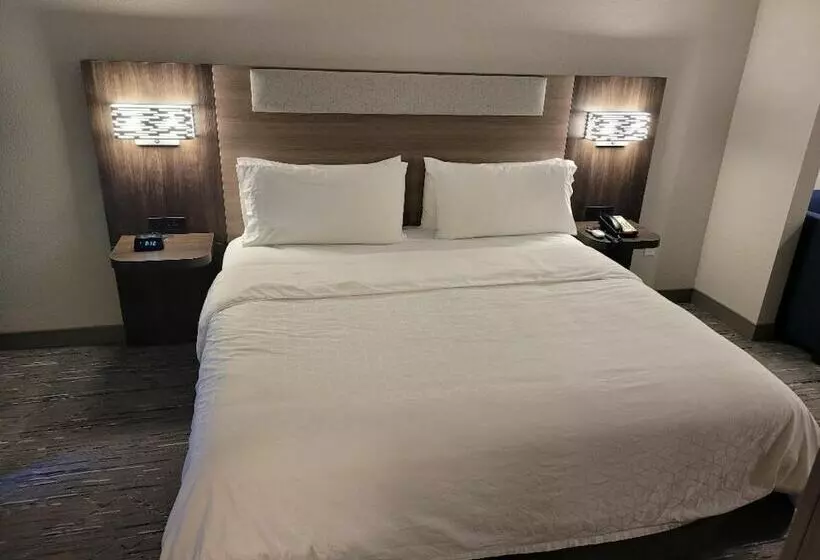 キングサイズベッドのスイートルーム, Holiday Inn Express & Suites Starkville By Ihg