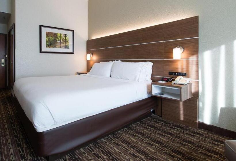 キングサイズベッドのエクゼクティブルーム, Holiday Inn Exp Walterboro By Ihg