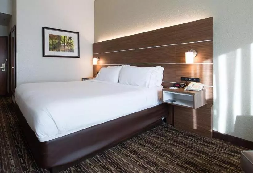 キングサイズベッドのエクゼクティブルーム, Holiday Inn Exp Walterboro By Ihg