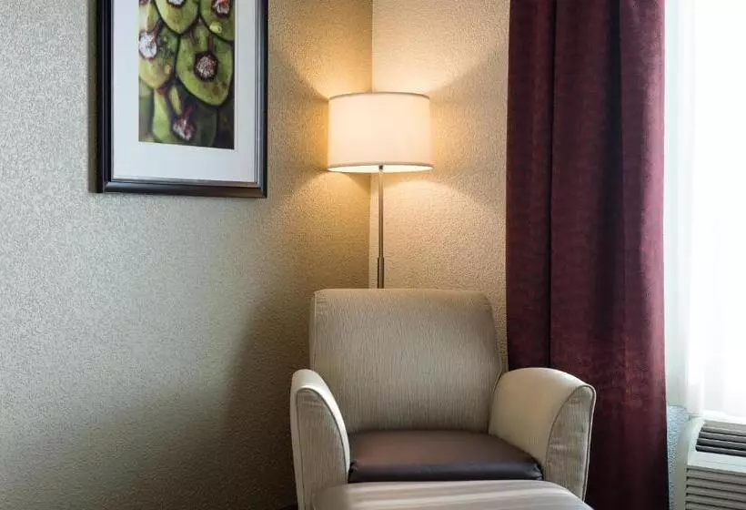 キングサイズベッドのエクゼクティブルーム, Holiday Inn Exp Walterboro By Ihg