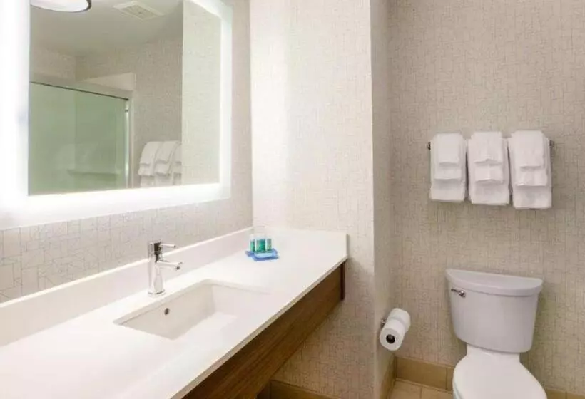 キングサイズベッドのスイートルーム, Holiday Inn Exp Walterboro By Ihg