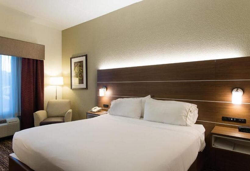 Номер Стандарт Кровать Кинг Адаптированный для Инвалидов, Holiday Inn Exp Walterboro By Ihg