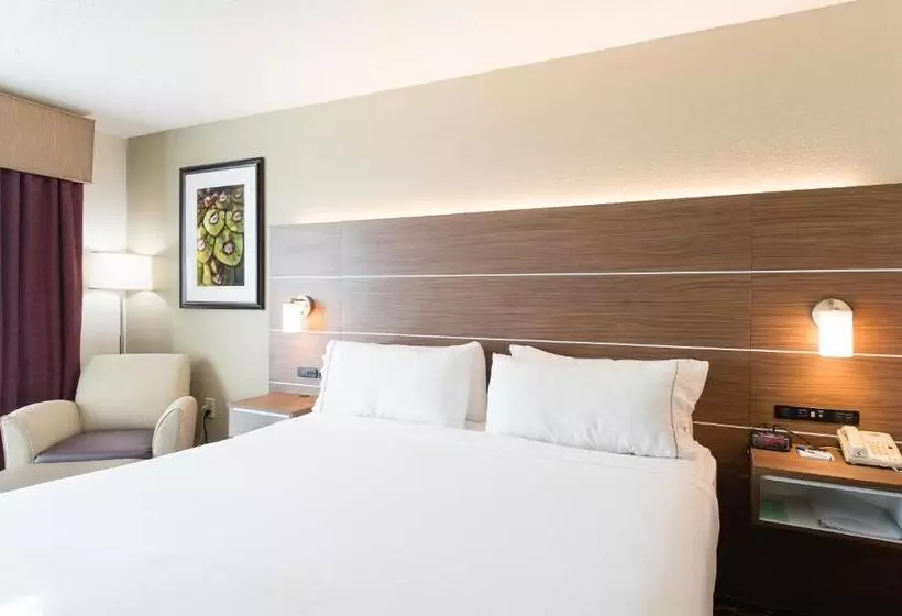 身障者適用キングサイズベッドルーム, Holiday Inn Exp Walterboro By Ihg