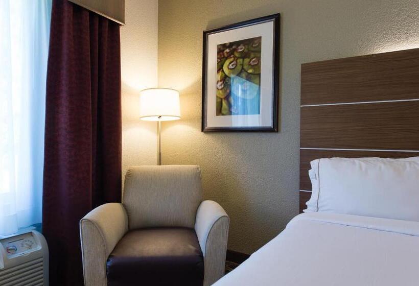 身障者適用キングサイズベッドルーム, Holiday Inn Exp Walterboro By Ihg