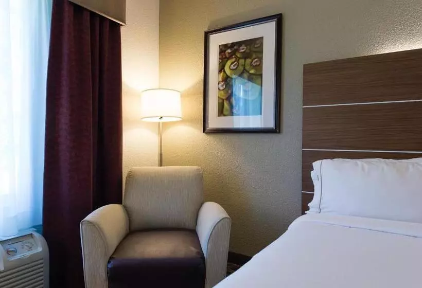 身障者適用キングサイズベッドルーム, Holiday Inn Exp Walterboro By Ihg