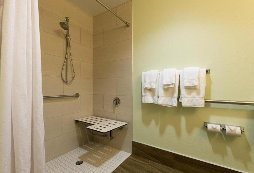 身障者適用キングサイズベッドルーム, Holiday Inn Exp Walterboro By Ihg