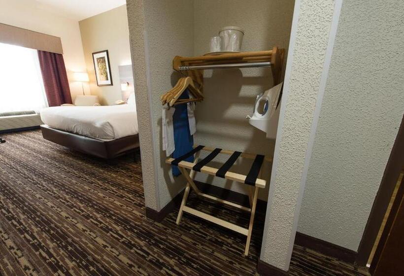 Номер Стандарт Кровать Кинг Адаптированный для Инвалидов, Holiday Inn Exp Walterboro By Ihg