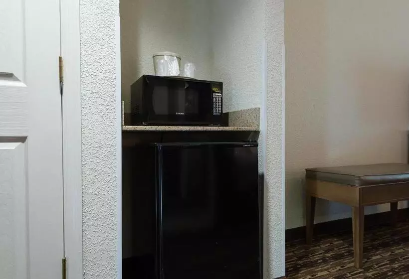 身障者適用ダブルベッド付きスタンダードルーム, Holiday Inn Exp Walterboro By Ihg