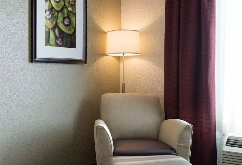 スタンダードルーム, Holiday Inn Exp Walterboro By Ihg