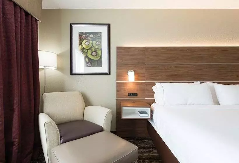 身障者適用ダブルベッド付きスタンダードルーム, Holiday Inn Exp Walterboro By Ihg