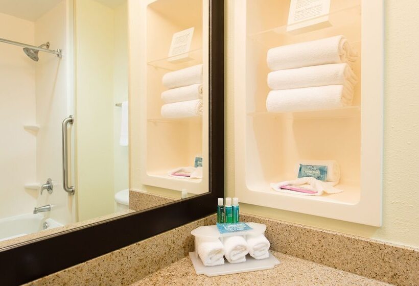 スイート, Holiday Inn Exp Walterboro By Ihg