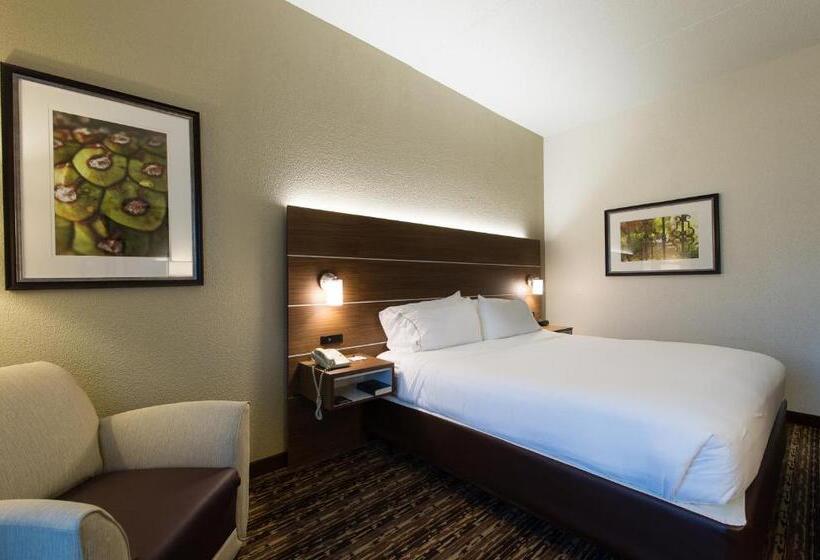 Номер Стандарт Кровать Кинг Адаптированный для Инвалидов, Holiday Inn Exp Walterboro By Ihg