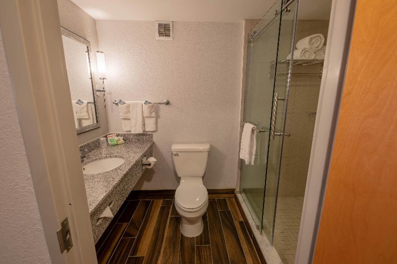 스탠다드 룸 킹사이즈 침대, Holiday Inn Manahawkin/long Beach Island, An Ihg