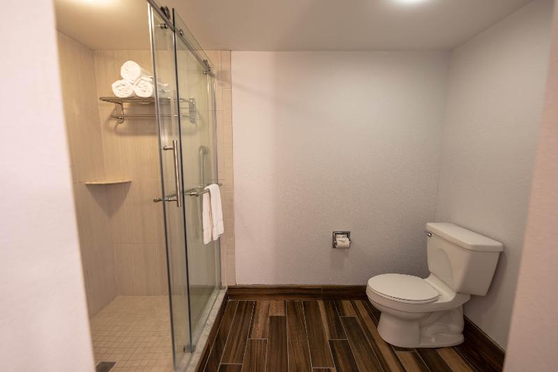 스탠다드 룸 킹사이즈 침대, Holiday Inn Manahawkin/long Beach Island, An Ihg