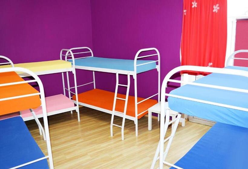 تختخواب در اتاق مشترک, City Center Hostel