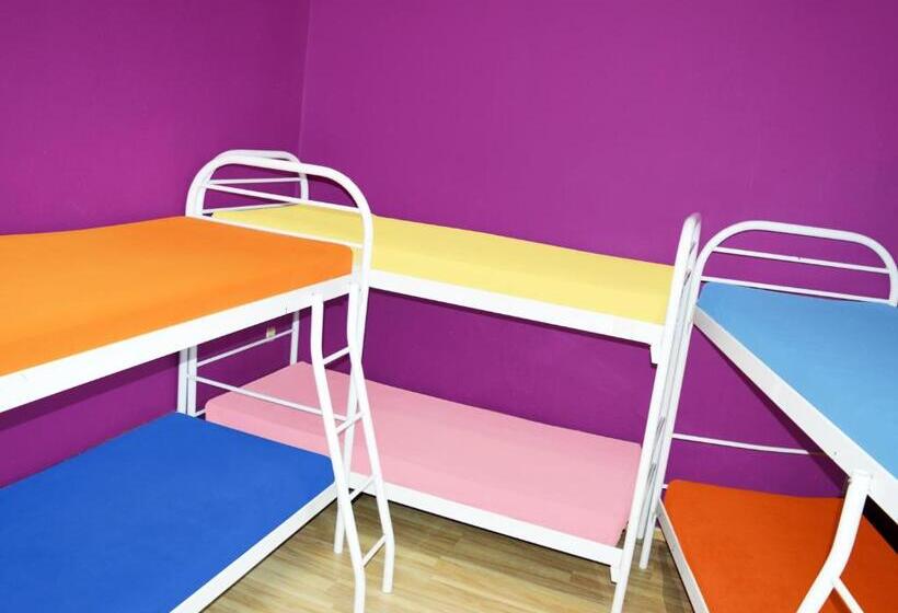 تختخواب در اتاق مشترک, City Center Hostel