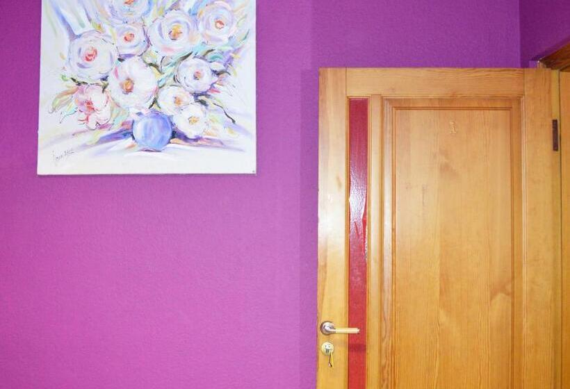 اتاق اکونومی, City Center Hostel