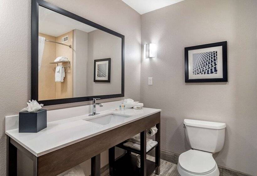 جناح, Comfort Suites Mcdonough Atlanta South