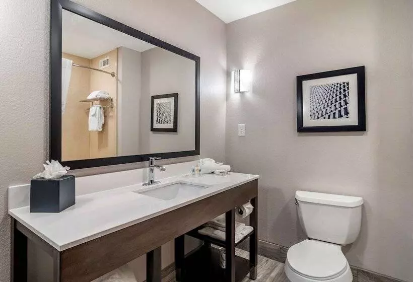 スイート, Comfort Suites Mcdonough Atlanta South
